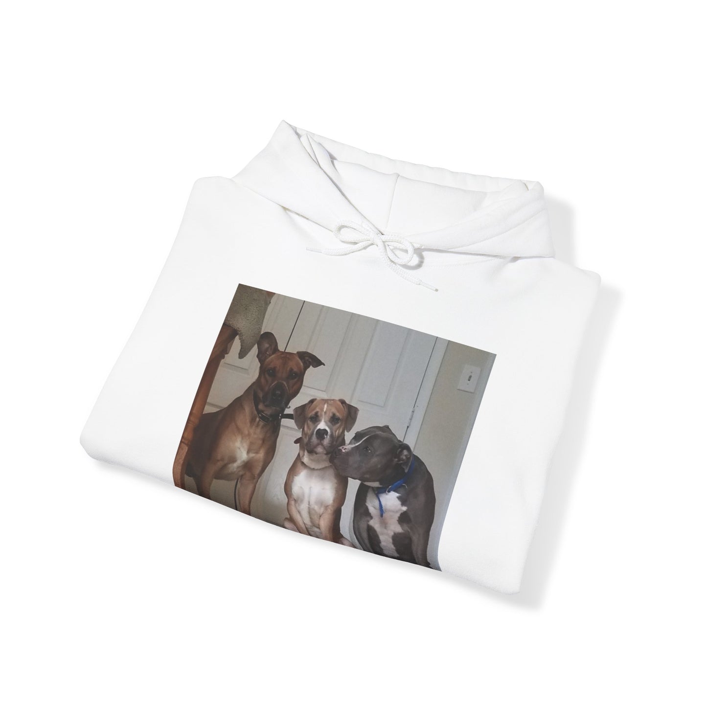 Unisex Heavy Blend™ Hooded Sweatshirt