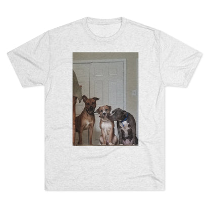 Unisex Tri-Blend Crew Tee