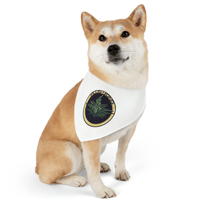 Pet Bandana Collar
